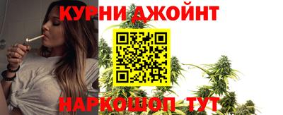 гидропоника Гатчина